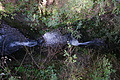 DSC05045 - Bernhard Saalfeld