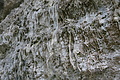 DSC05048 - Bernhard Saalfeld