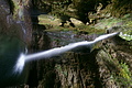 DSC05053 - Bernhard Saalfeld