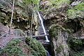 DSC05068 - Bernhard Saalfeld