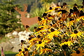 DSC05102 - Bernhard Saalfeld