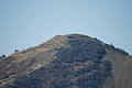 DSC05122 - Bernhard Saalfeld