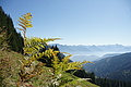 DSC05143 - Bernhard Saalfeld