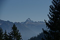 DSC05159 - Bernhard Saalfeld