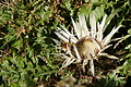 DSC05164 - Bernhard Saalfeld