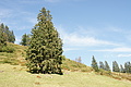 DSC05165 - Bernhard Saalfeld