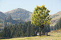 DSC05168 - Bernhard Saalfeld