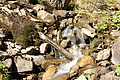 DSC05183 - Bernhard Saalfeld