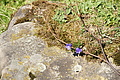 DSC05187 - Bernhard Saalfeld