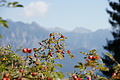 DSC05193 - Bernhard Saalfeld