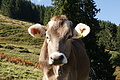 DSC05215 - Bernhard Saalfeld