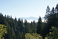 DSC05243 - Bernhard Saalfeld