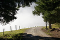 DSC05244 - Bernhard Saalfeld