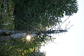 DSC05253 - Bernhard Saalfeld