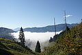 DSC05256 - Bernhard Saalfeld
