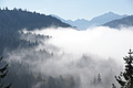 DSC05265 - Bernhard Saalfeld