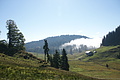 DSC05270 - Bernhard Saalfeld