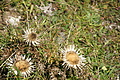 DSC05276 - Bernhard Saalfeld