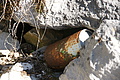 DSC05281 - Bernhard Saalfeld