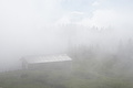 DSC05285 - Bernhard Saalfeld