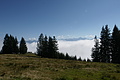DSC05289 - Bernhard Saalfeld