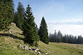 DSC05306 - Bernhard Saalfeld