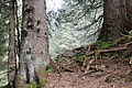 DSC05309 - Bernhard Saalfeld