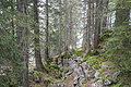 DSC05310 - Bernhard Saalfeld