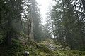 DSC05311 - Bernhard Saalfeld