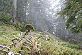 DSC05312 - Bernhard Saalfeld