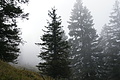 DSC05313 - Bernhard Saalfeld
