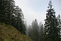 DSC05315 - Bernhard Saalfeld
