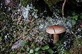 DSC05319 - Bernhard Saalfeld