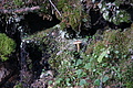 DSC05320 - Bernhard Saalfeld