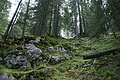 DSC05321 - Bernhard Saalfeld