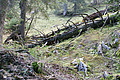 DSC05322 - Bernhard Saalfeld