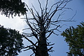DSC05323 - Bernhard Saalfeld