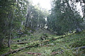 DSC05325 - Bernhard Saalfeld