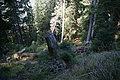DSC05326 - Bernhard Saalfeld