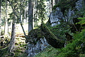 DSC05327 - Bernhard Saalfeld