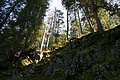 DSC05337 - Bernhard Saalfeld