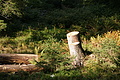 DSC05338 - Bernhard Saalfeld