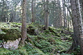DSC05341 - Bernhard Saalfeld
