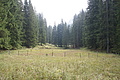 DSC05344 - Bernhard Saalfeld