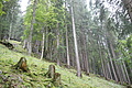 DSC05347 - Bernhard Saalfeld