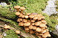 DSC05350 - Bernhard Saalfeld