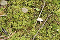 DSC05358 - Bernhard Saalfeld