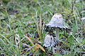 DSC05365 - Bernhard Saalfeld