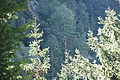 DSC05371 - Bernhard Saalfeld
