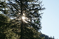 DSC05372 - Bernhard Saalfeld